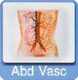 Abdominal Vascular