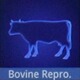 Bovine Reproductivity