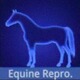 Equine Reproductivity