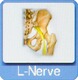 L-Nerve