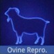 Ovine Reproductivity